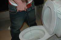 Access Boys Pissing Free s0