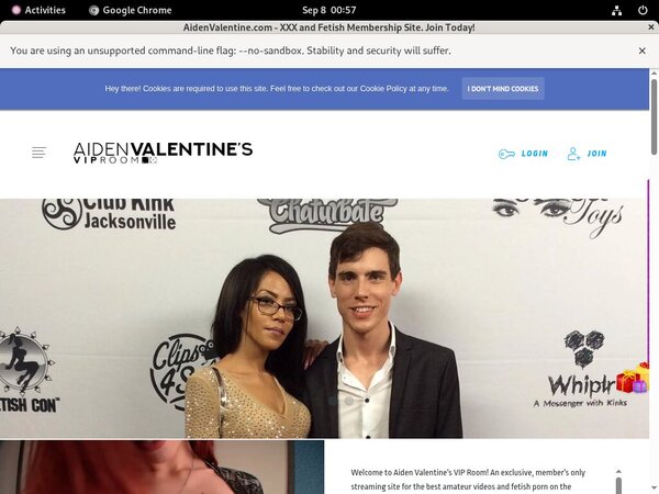 AidenValentine Passwords 2017