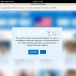 Bad Puppy Account For Free