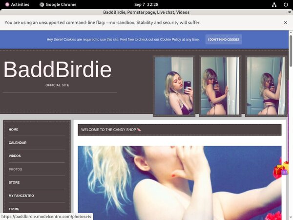 BaddBirdie Instant Access BaddBirdie Instant Access