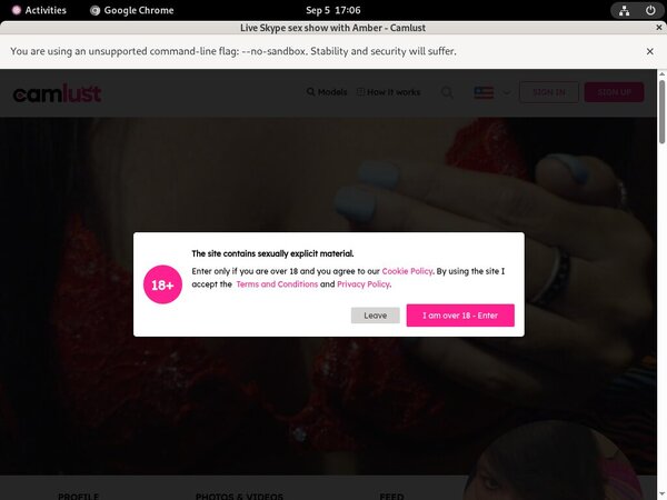 Camlust.com Segpay Discount