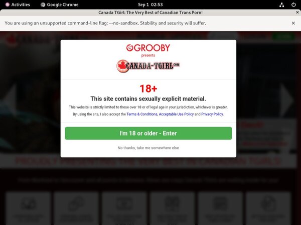 Canadatgirl Real Passwords