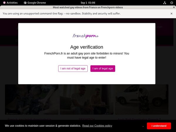 Discount French Porn Gay Promo Code