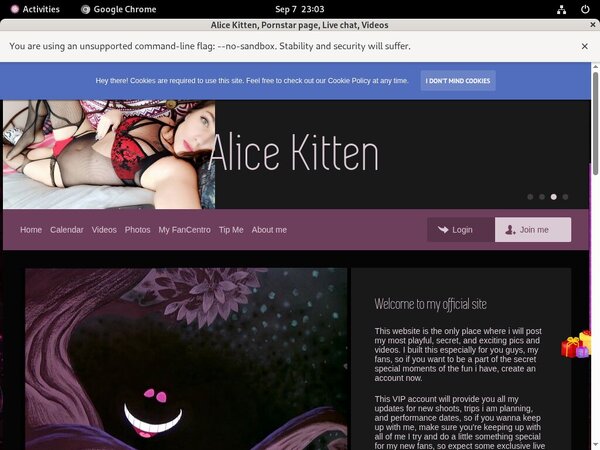 Free Account For Alice Kitten