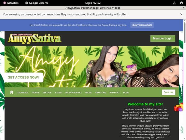 Free Amyysativa.com Account Logins