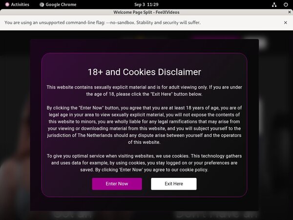 Free Feelxvideos Passwords 2018
