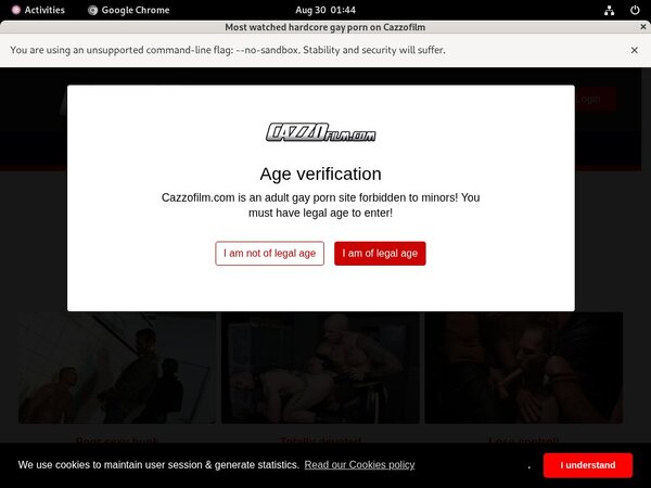 Free Passwords Cazzo