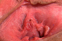 Gape My Pussy Discount Links s2 Gape My Pussy Discount Links s2