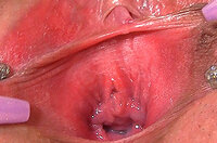 Gapemypussy.com Male Pornstars s5