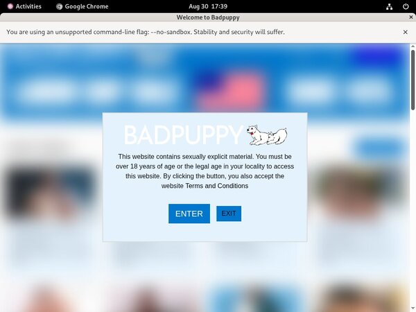 How To Join Badpuppy.com For Free