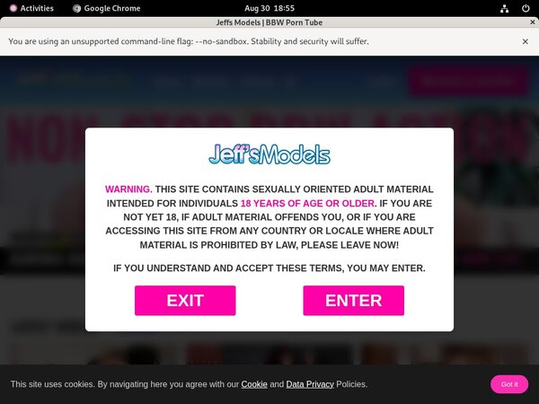 Jeff's Models Male Pornstars