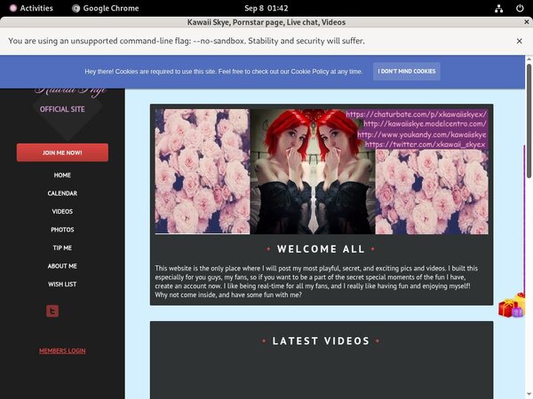 Kawaiiskye.modelcentro.com Hacked Accounts Kawaiiskye.modelcentro.com Hacked Accounts