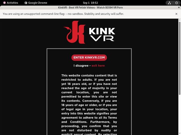 Kink VR Discount Passes