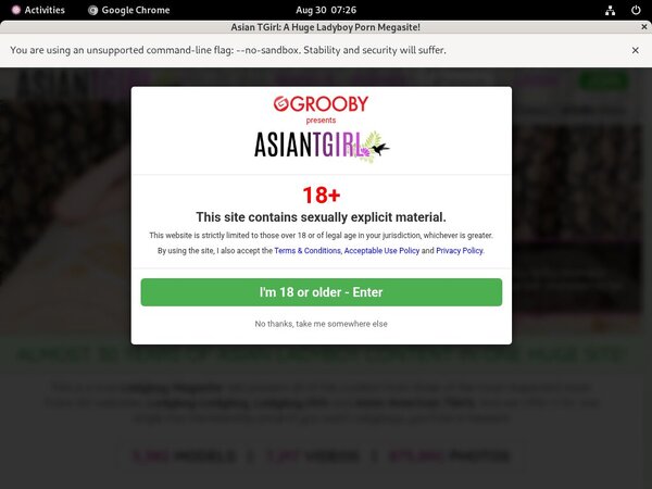 Ladyboy Ladyboy Porn Videos