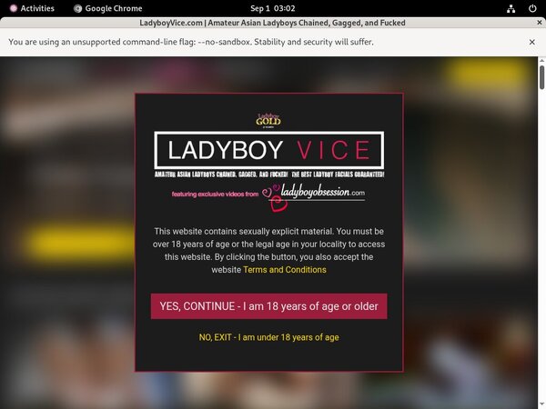 Ladyboy Vice Discount Off