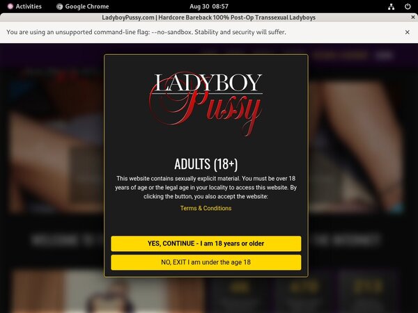 Ladyboypussy.com Limited Discount