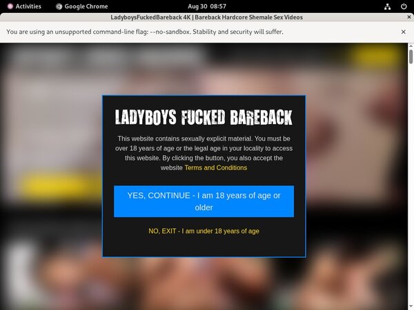 Ladyboysfuckedbareback Free Account Ladyboysfuckedbareback Free Account