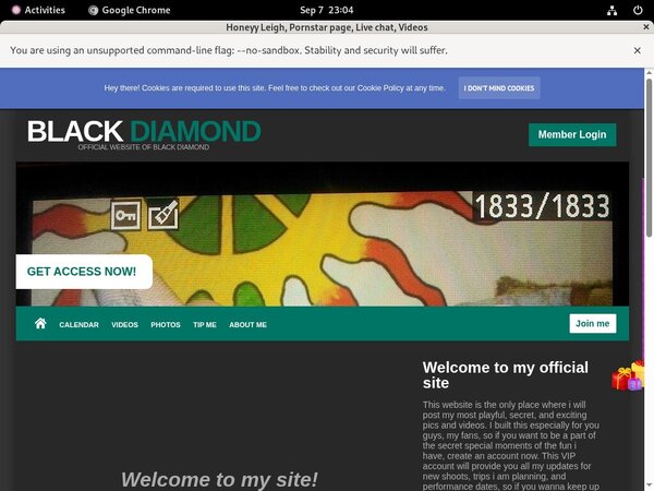 Leigh Honeyy Day Trial