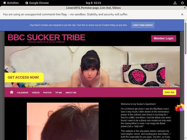 Linxer2013 Premium Discount