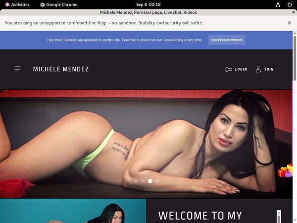 Michele Mendez Discount Sign Up