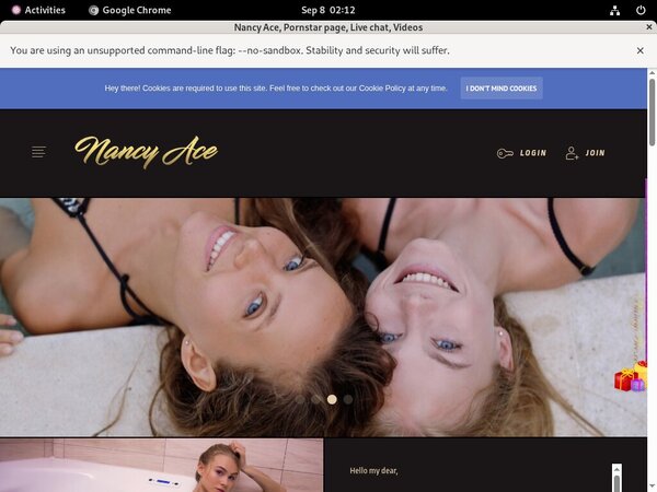 Nancyace.com Model List