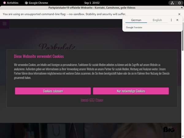 Parkplatzluder19.com Premium Account Free