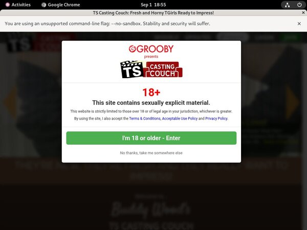 Paypal Signup TS Casting Couch