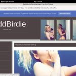 Porno BaddBirdie Porno BaddBirdie