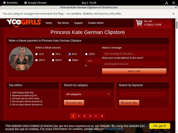 Princess Kate German Pay
