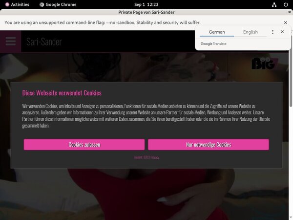 SariSander Bank Payment SariSander Bank Payment