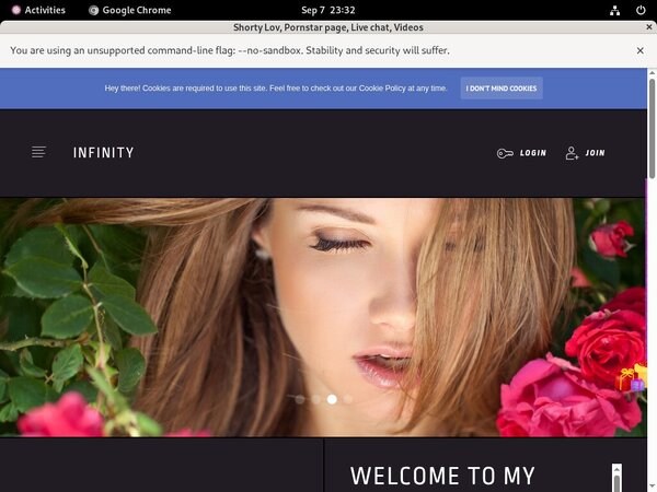 ShortyLov Checkout Form