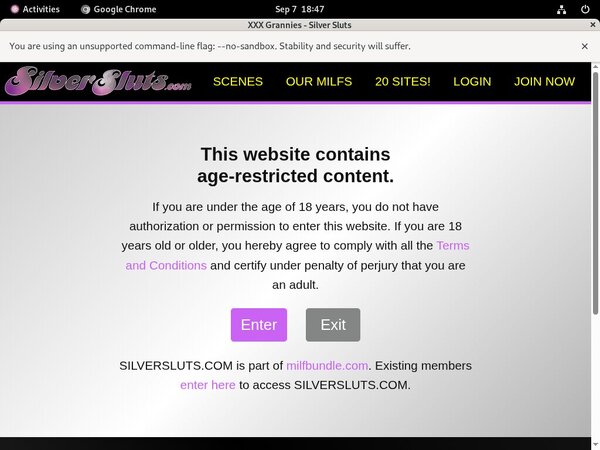 Silversluts.com With JCB Card