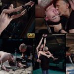 Subspaceland One Year Subspaceland One Year