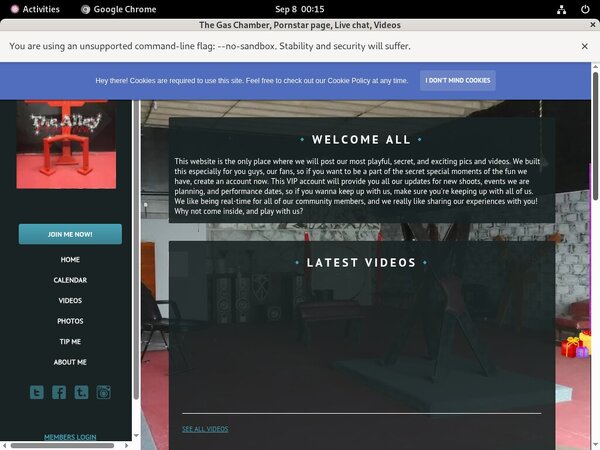 Thealleywynwood.modelcentro.com Logins For Free