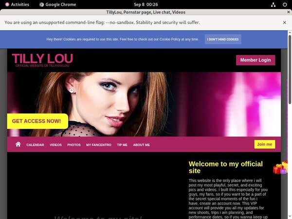 TillyLou Password Site