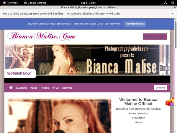Try Biancamalise.modelcentro.com For Free