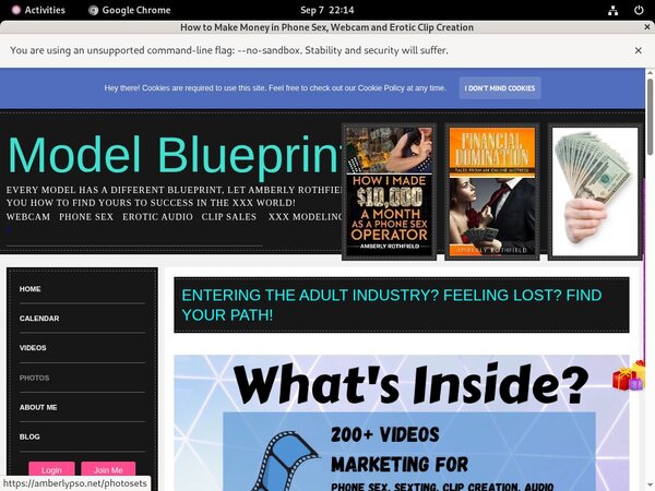 What Is Amberlypso.net