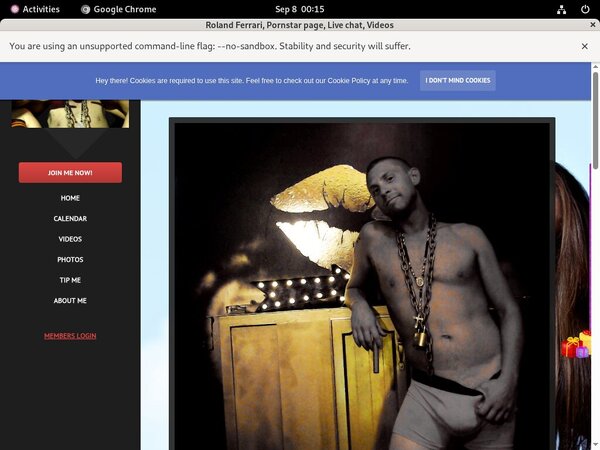 What Is Rolandferrari.modelcentro.com