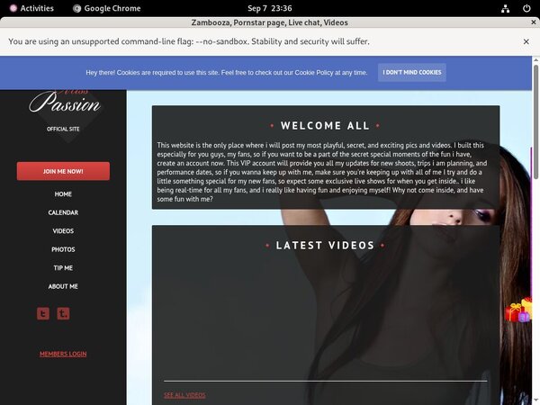 Zambooza Webcams Zambooza Webcams